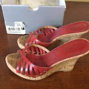 Aldo elmeriana-62 in red